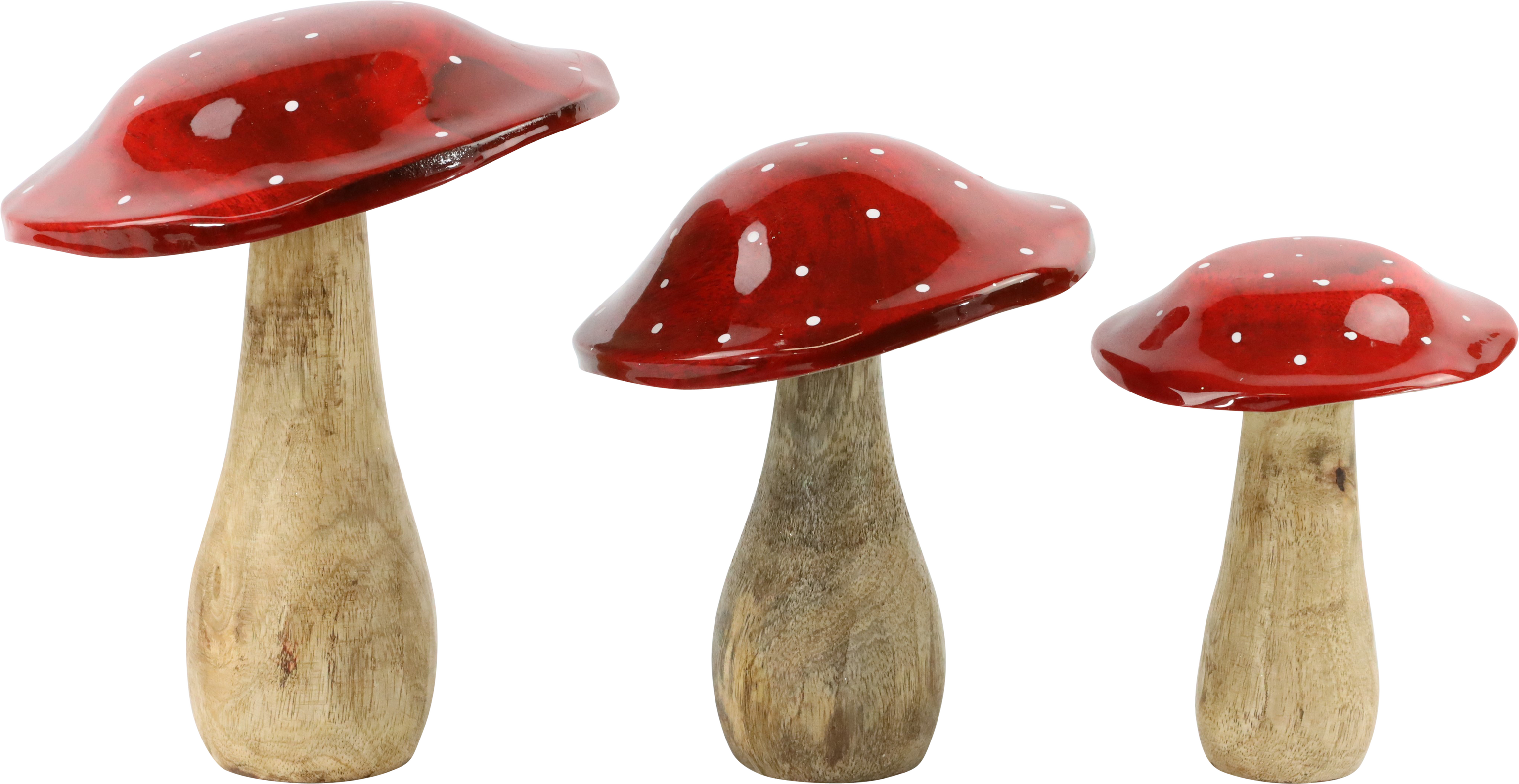 1166 FLIEGENPILZE S/3