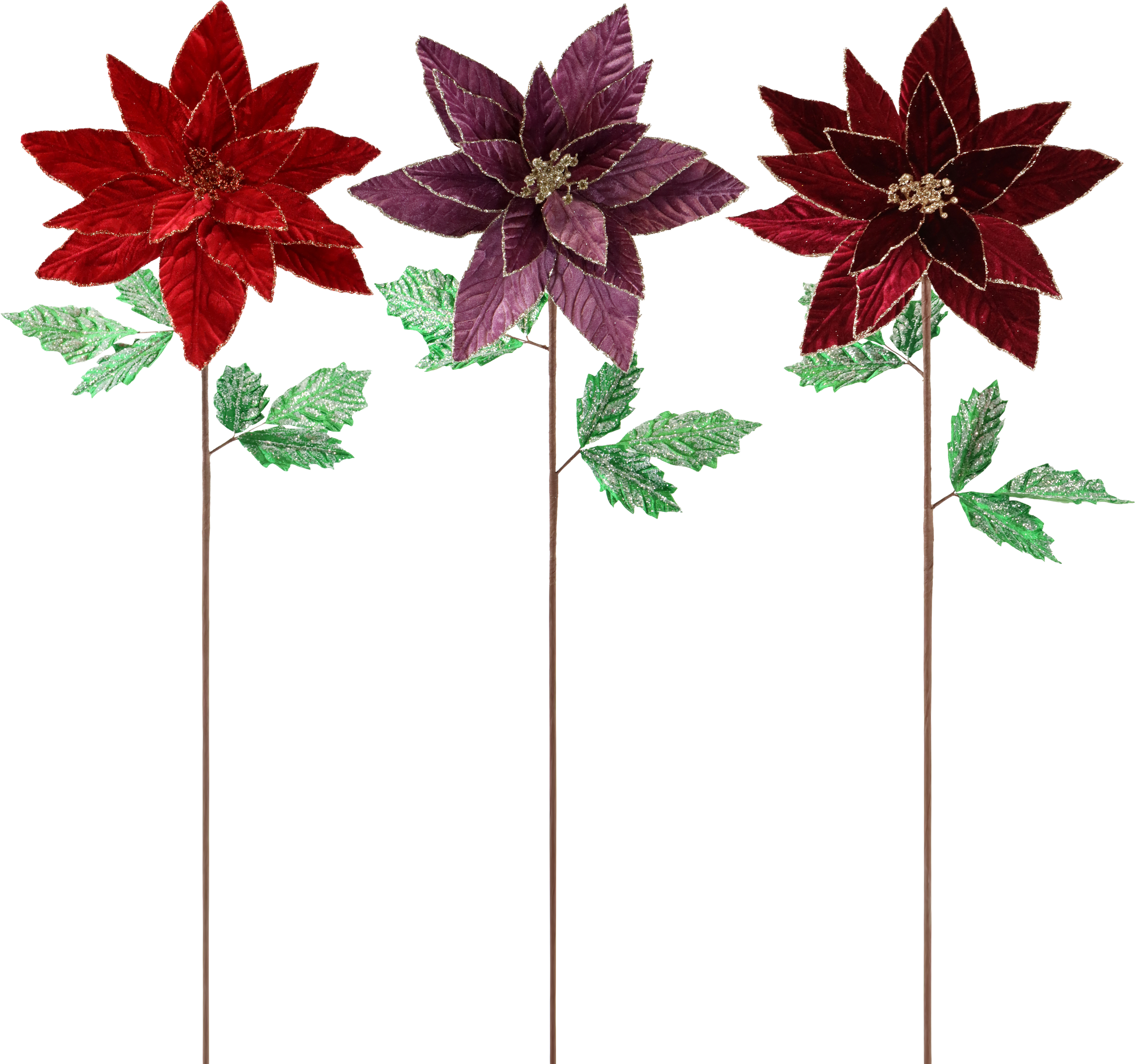 1898 TRIODEFLORES STELLA DI NATALE  S/3