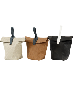 1922 PAPER-BAGS ECOLOGY  S/3