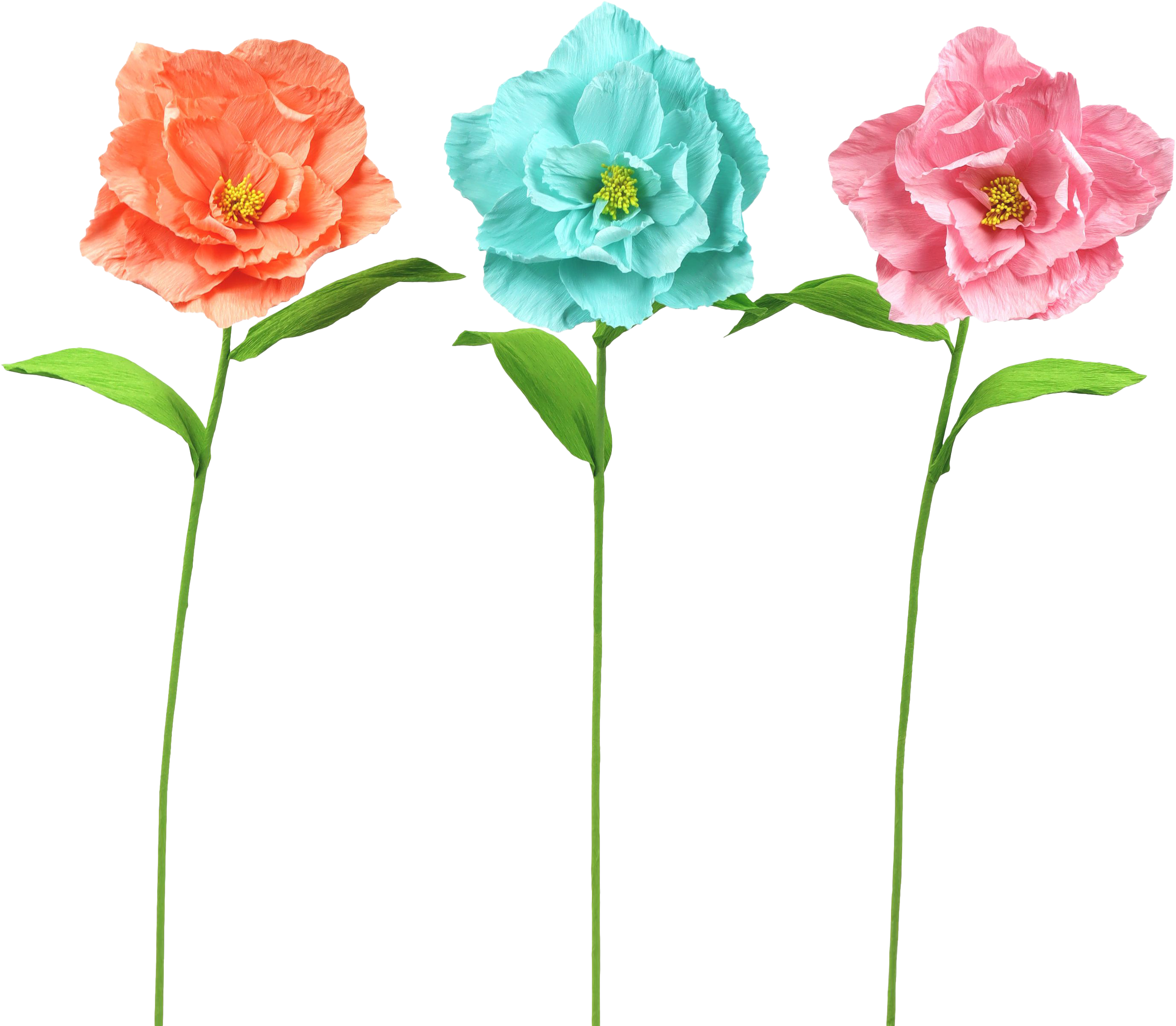 2031 FLOWERS  POPPY  S/3