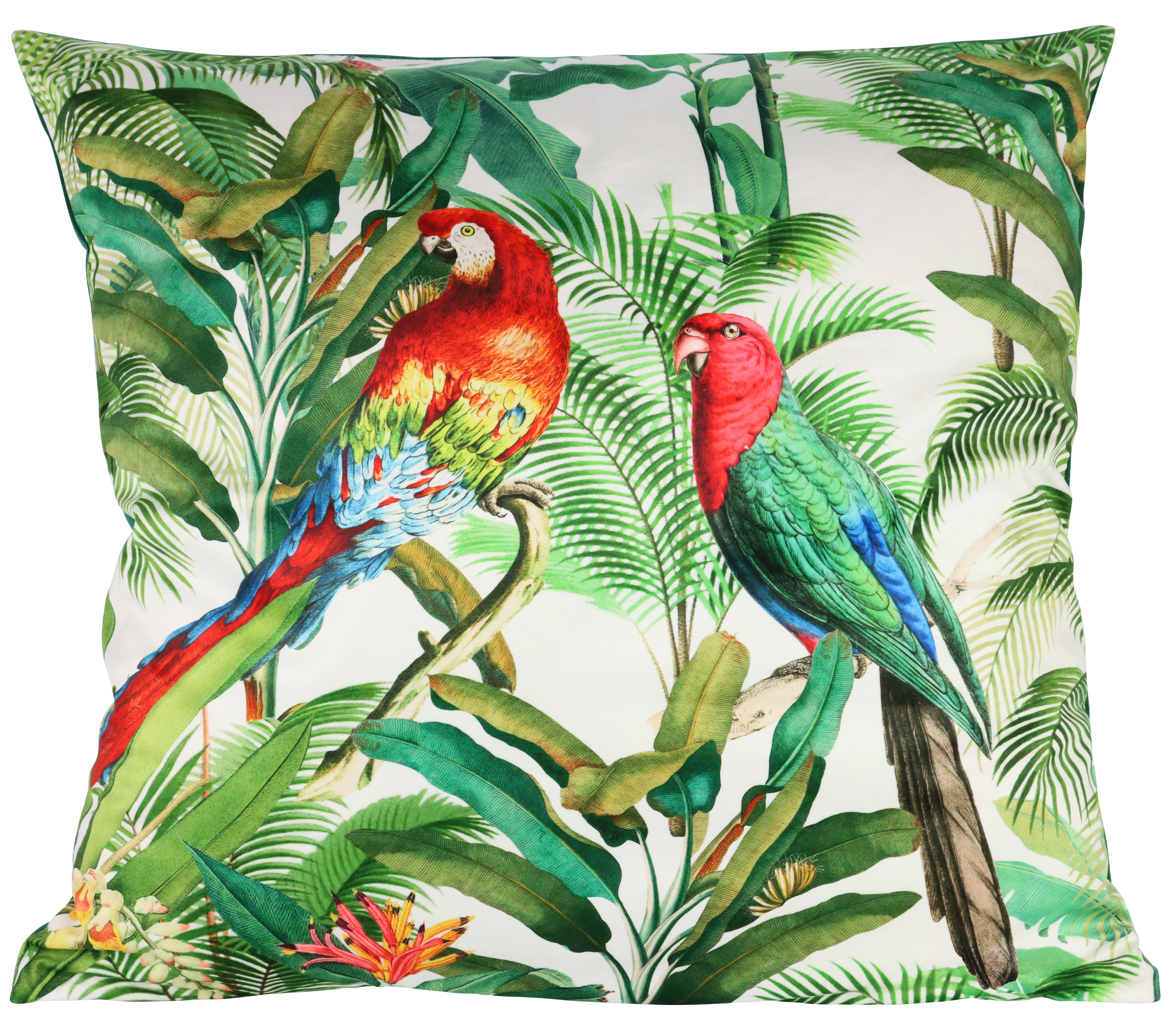 2127 HOUSSE  PARROTS  60X60