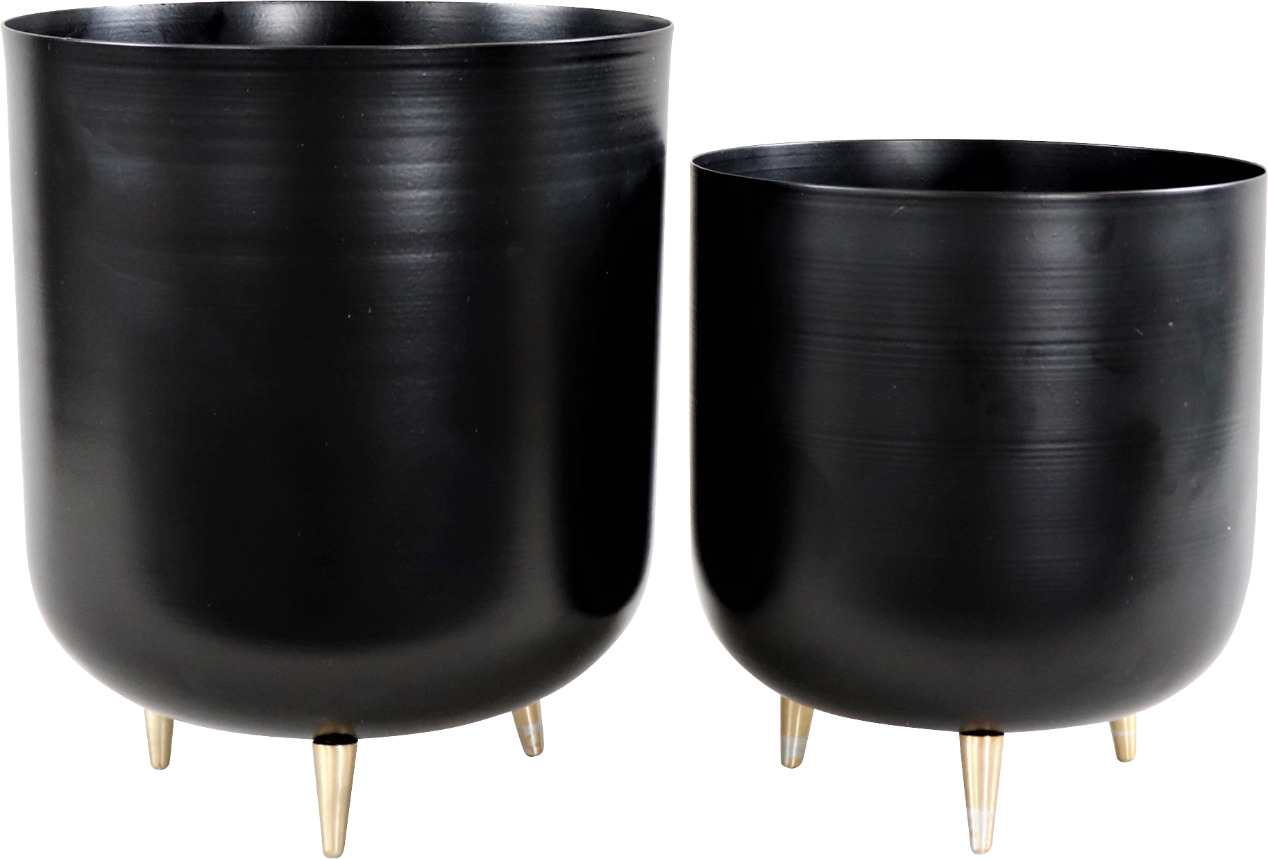 2797 PORTAVASI  ENIGMA  2PZ