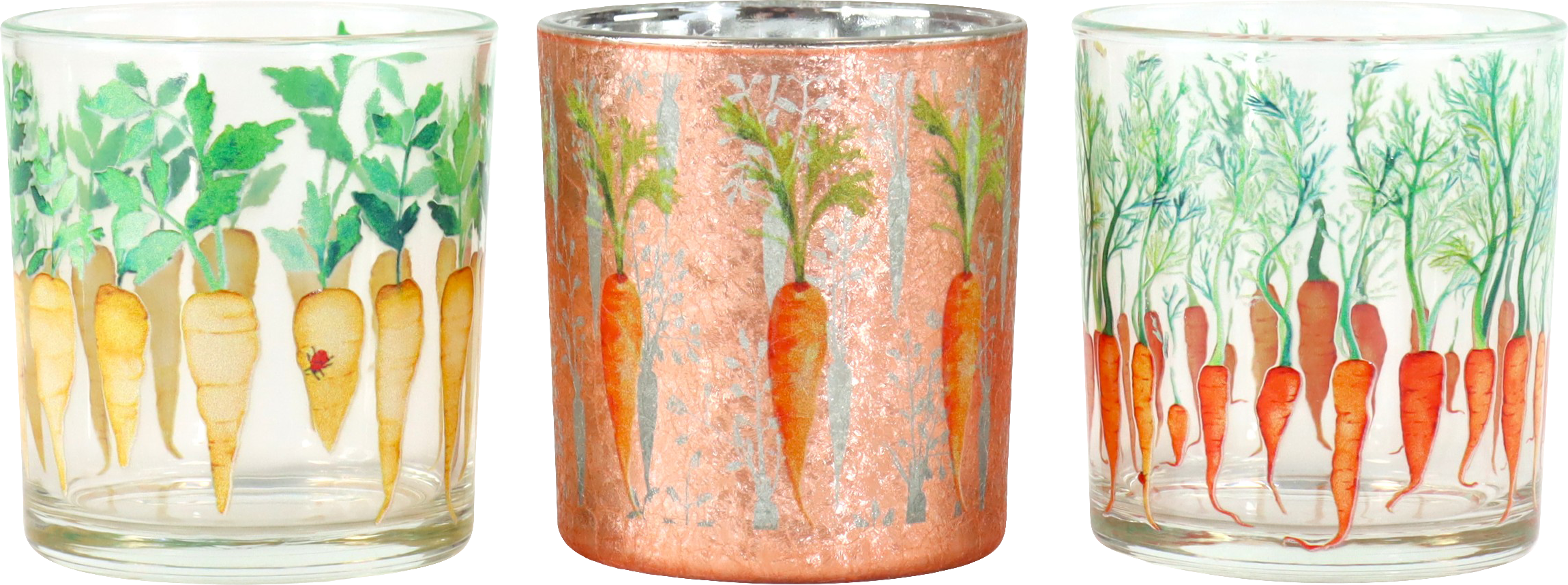 2964 PHOTOPH. TABLE COZY CARROTS  3P