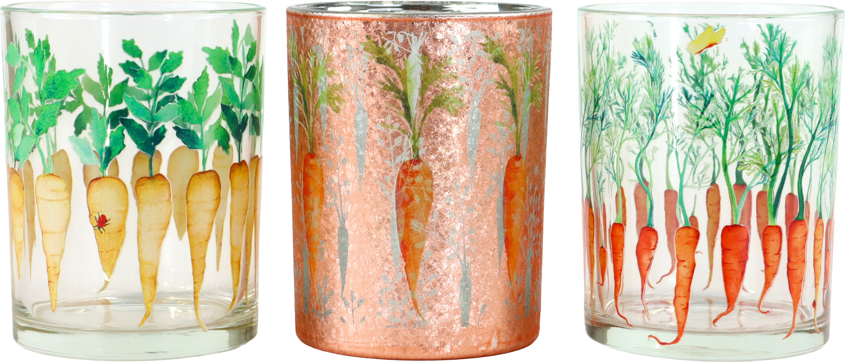 2972 PHOTOPH. TABLE COZY CARROTS  3P
