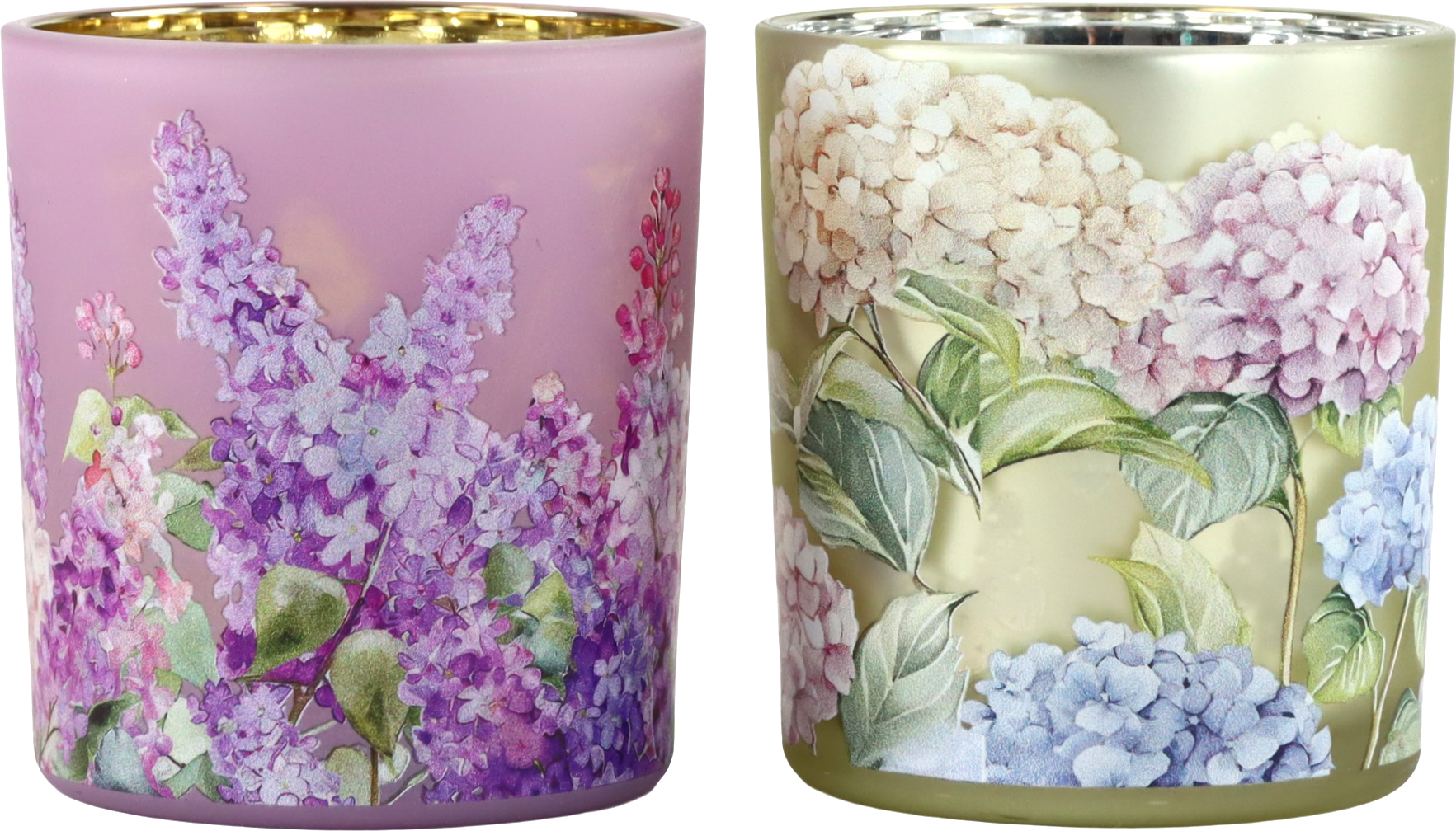 2986 PHOTOPHORES VIOLET DREAMS  2P