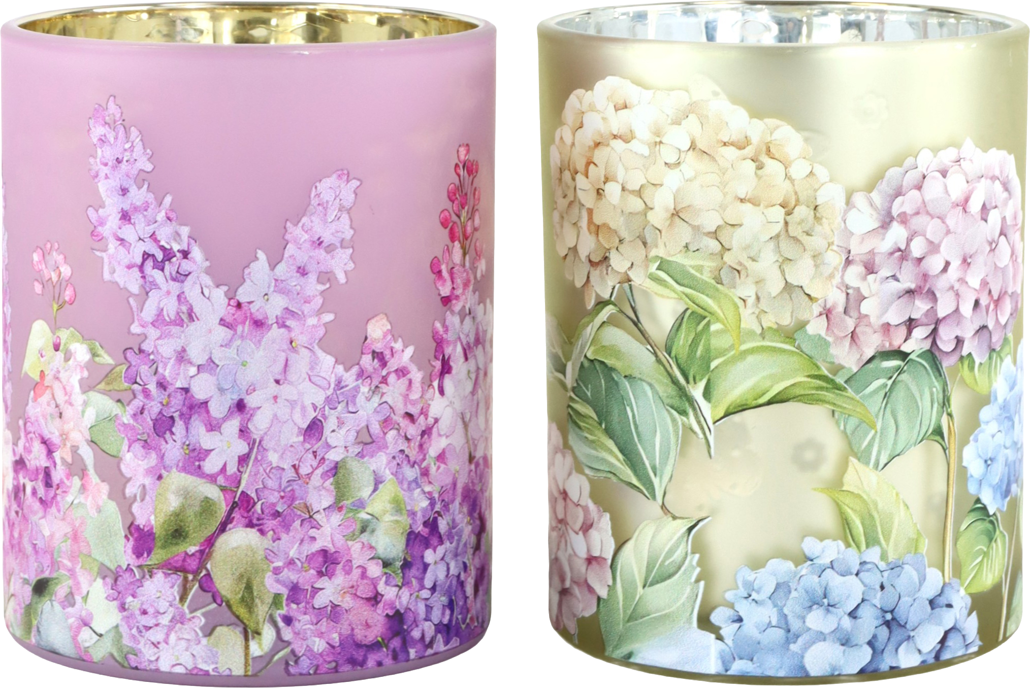 2987 PHOTOPHORES VIOLET DREAMS  2P