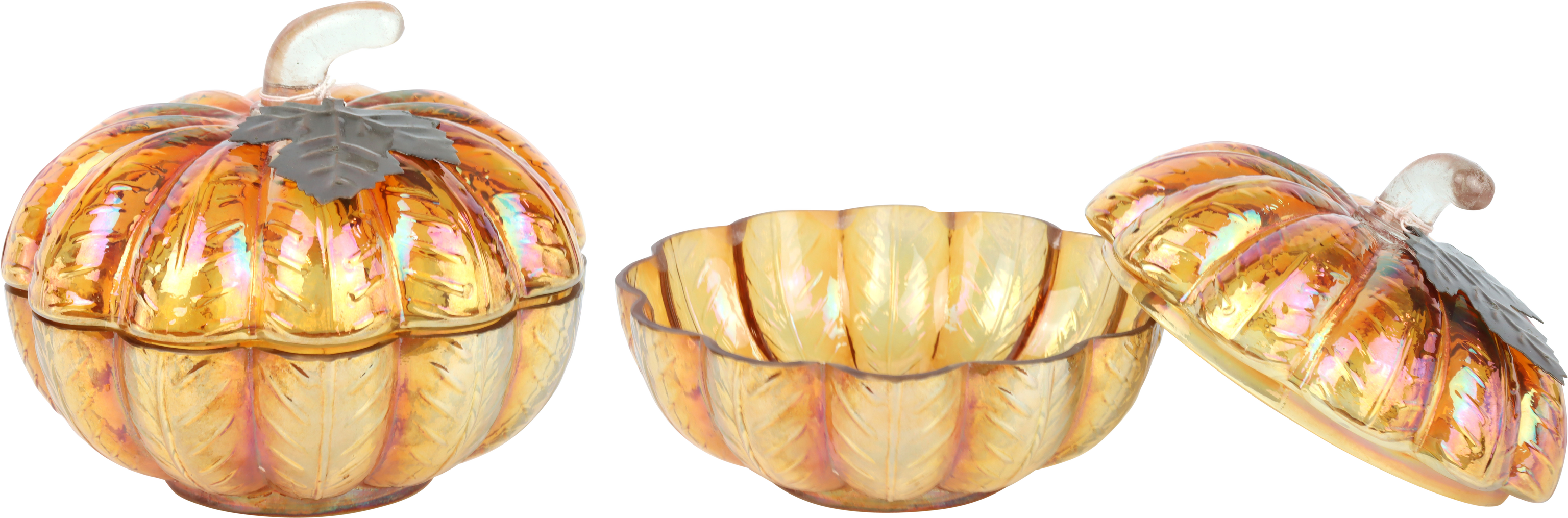 3105 GLASDOSE PUMPKIN