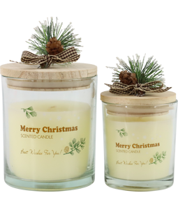 3245 AROMATIC CANDLE MERRY CHRISTM  S/2