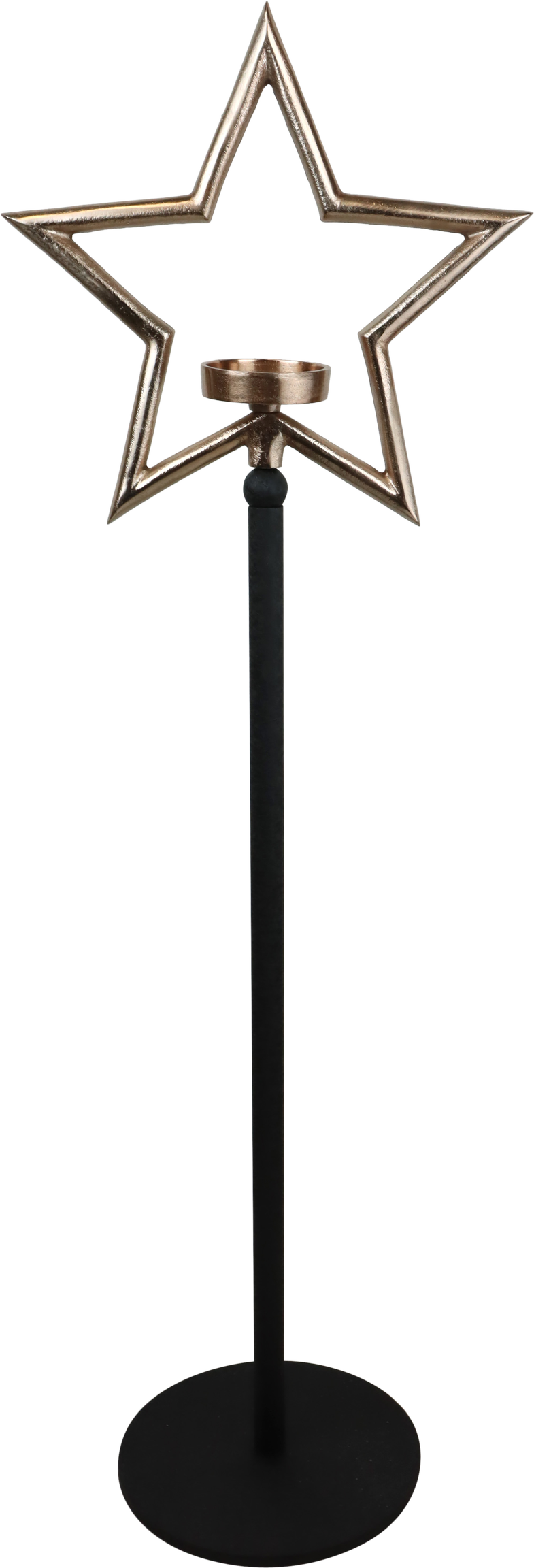 3654 CANDLESTICK STAR