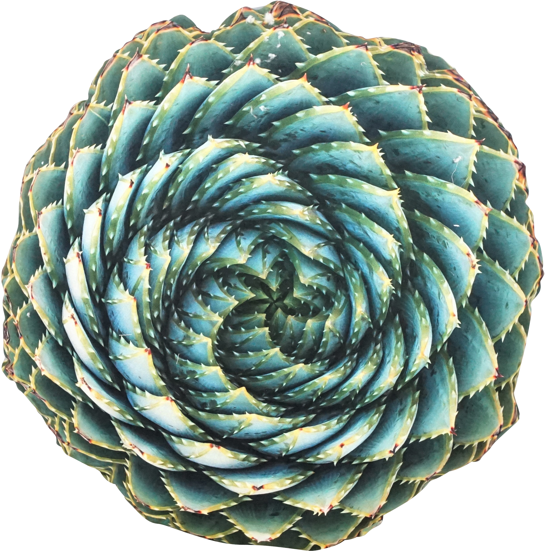 3694 COUSSIN  SUKKULENTE 60X60