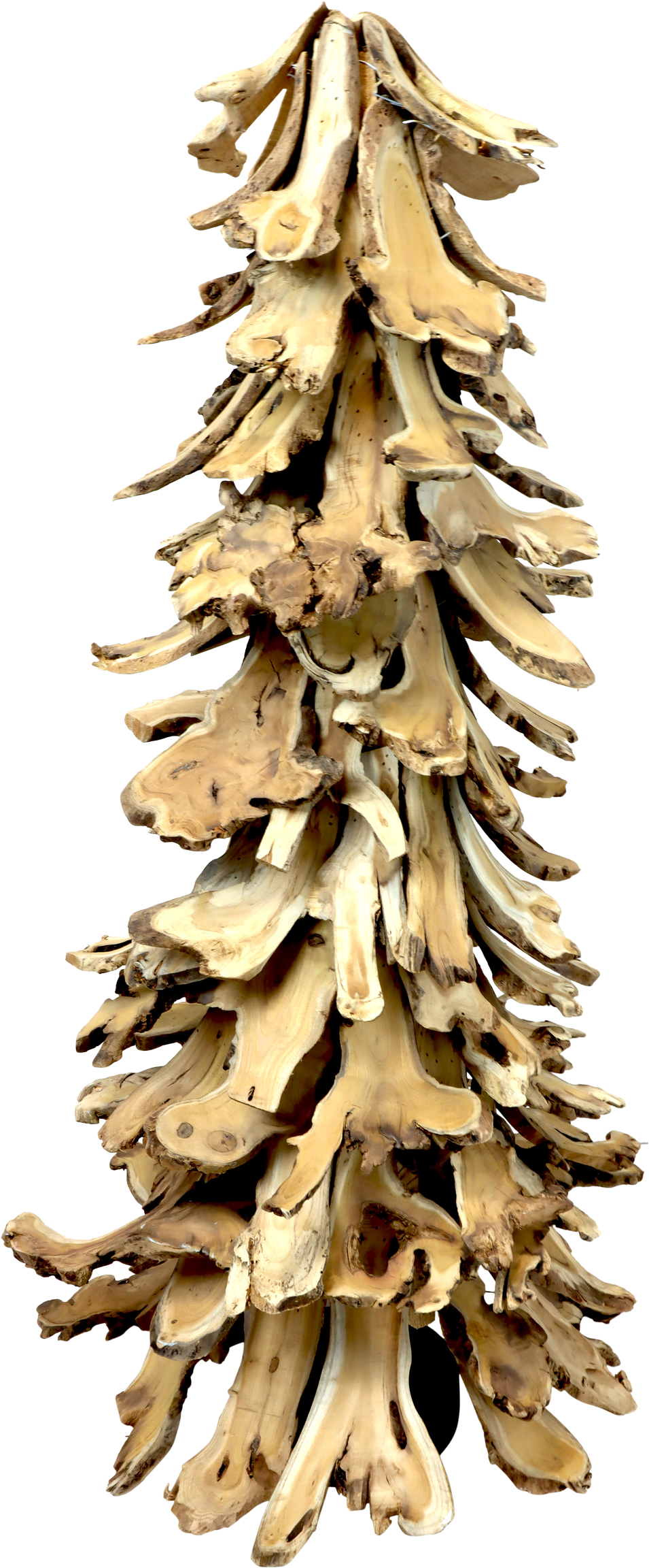 4036 ÁRBOL WOODLAND