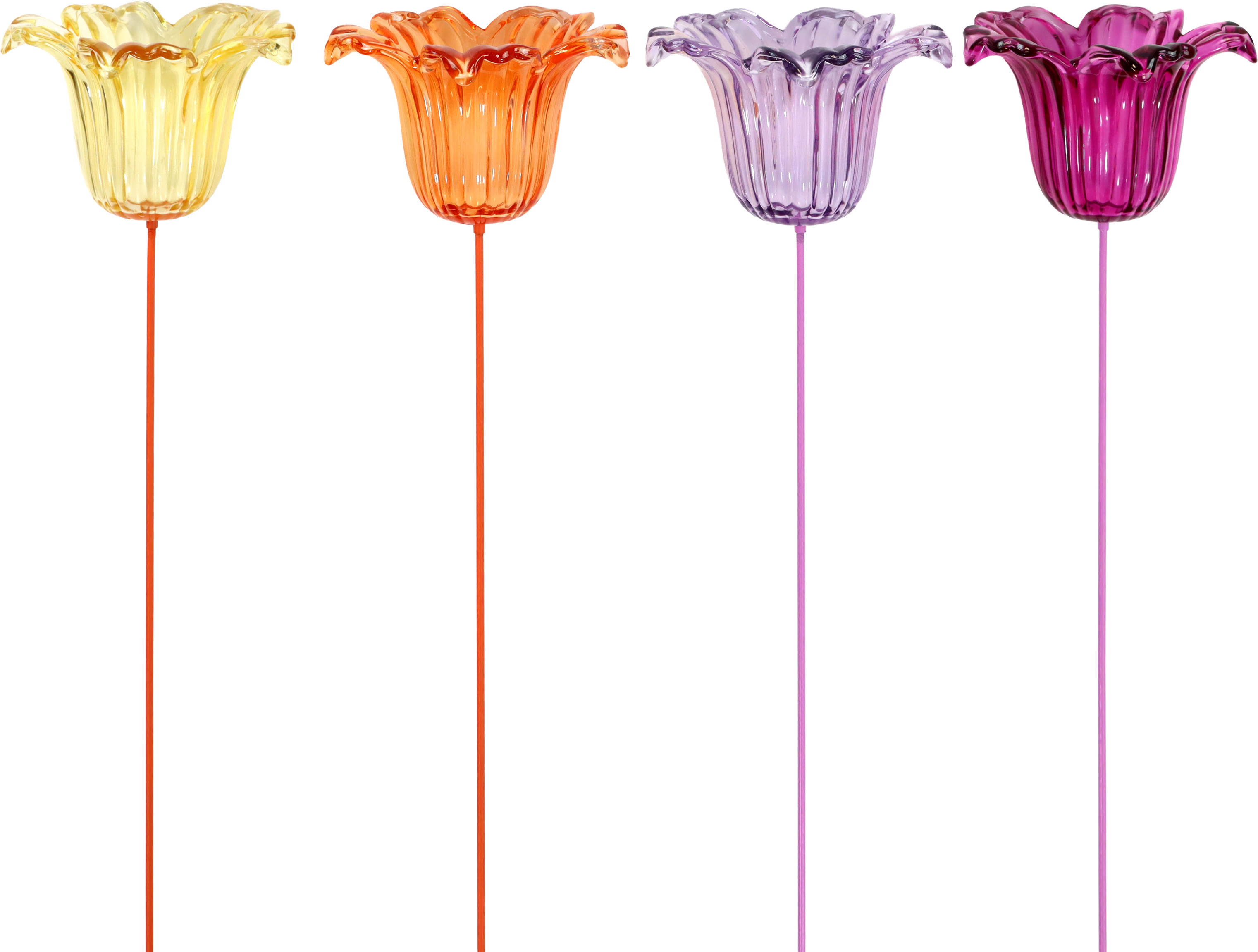 4150 PHOTOPH. SUR TIGE BLÜTE  4P