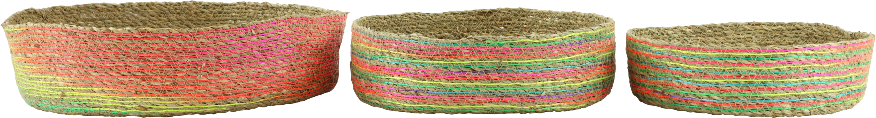 4484 CORBEILLES RAINBOW ROOTS  3P