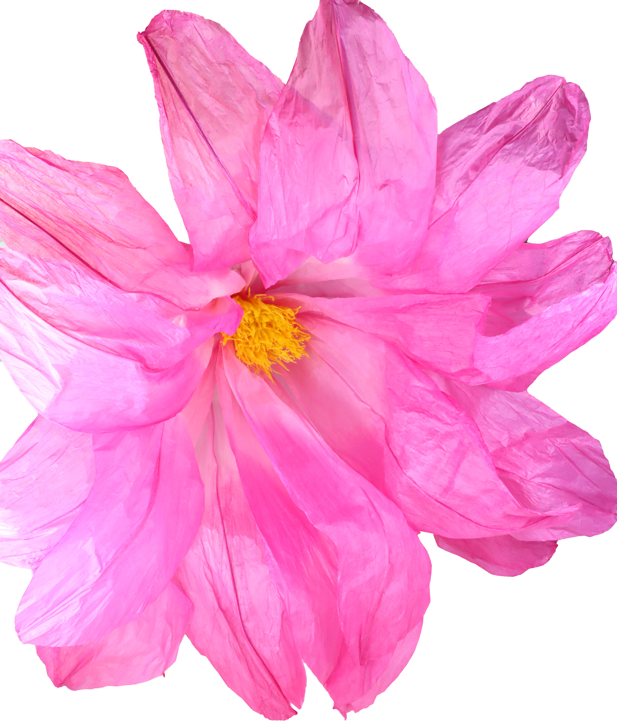 4582 FLEUR XXL LILIE