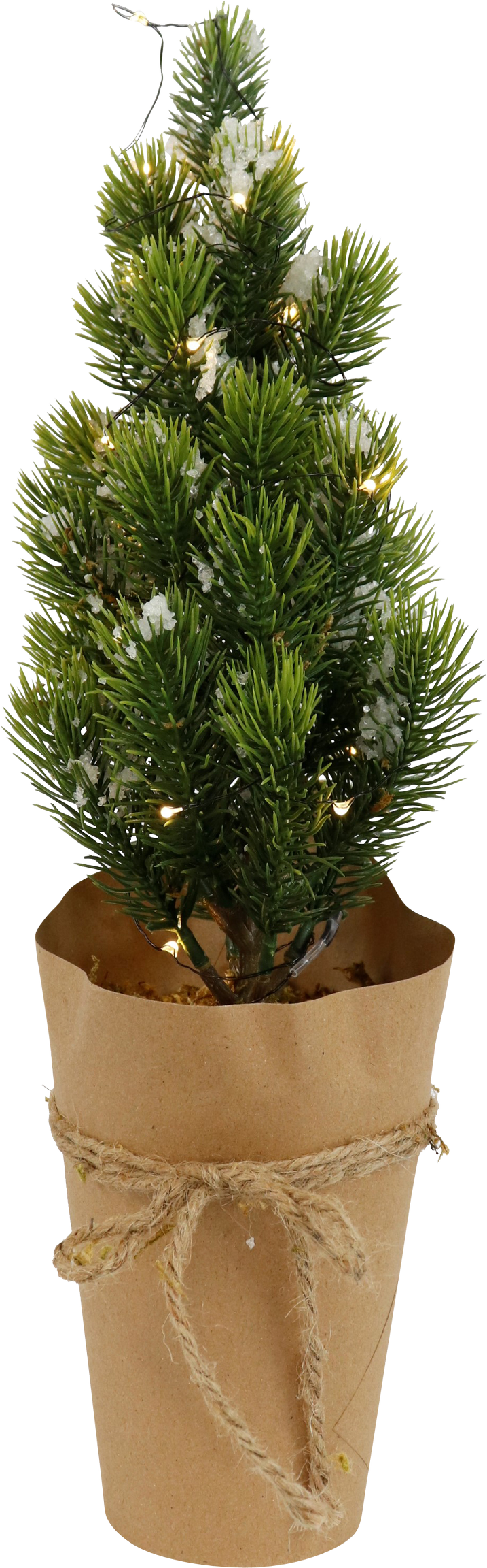 4834 ARBRE LED  FROZEN