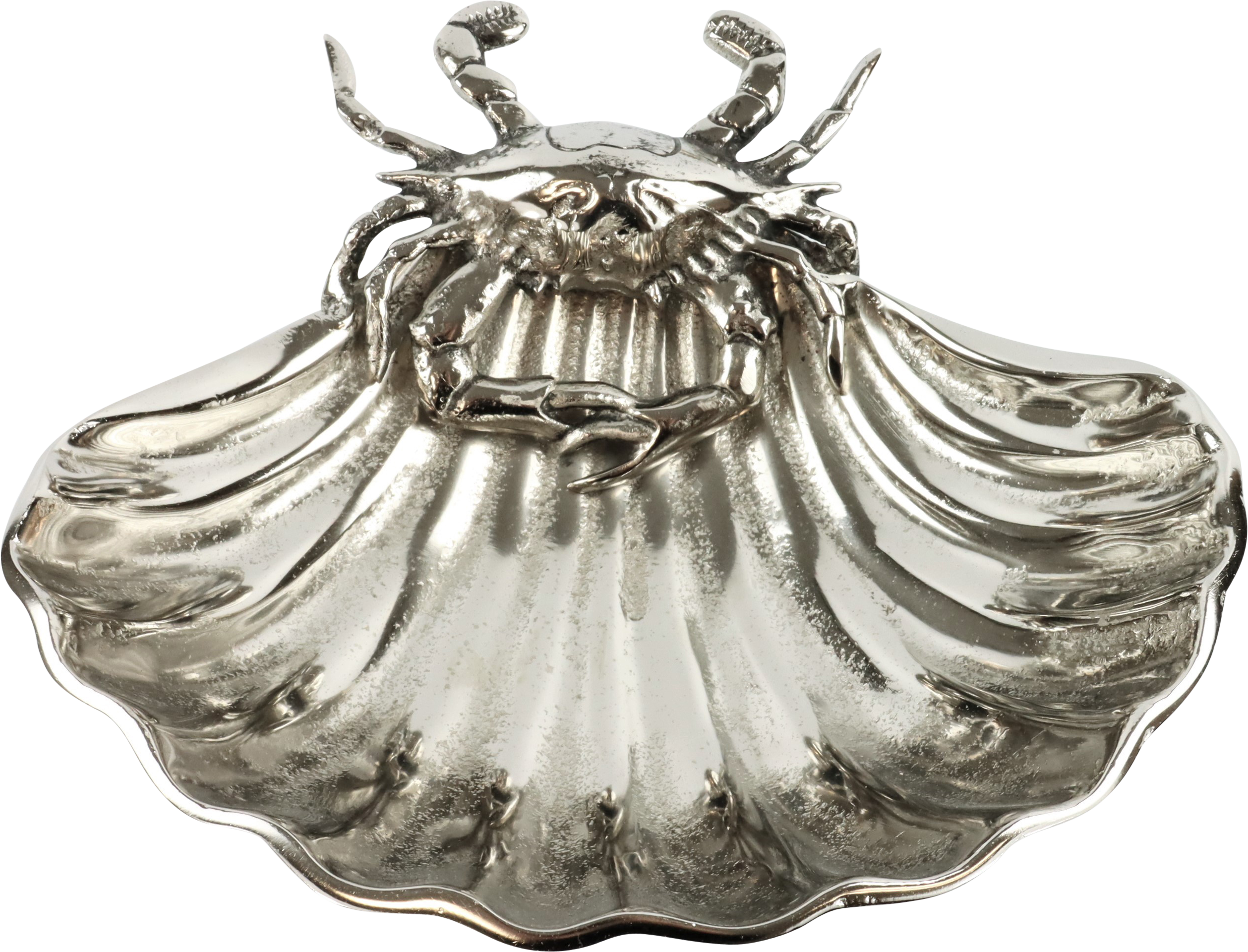 5061 COQUILLE DE MOULES  OCEAN