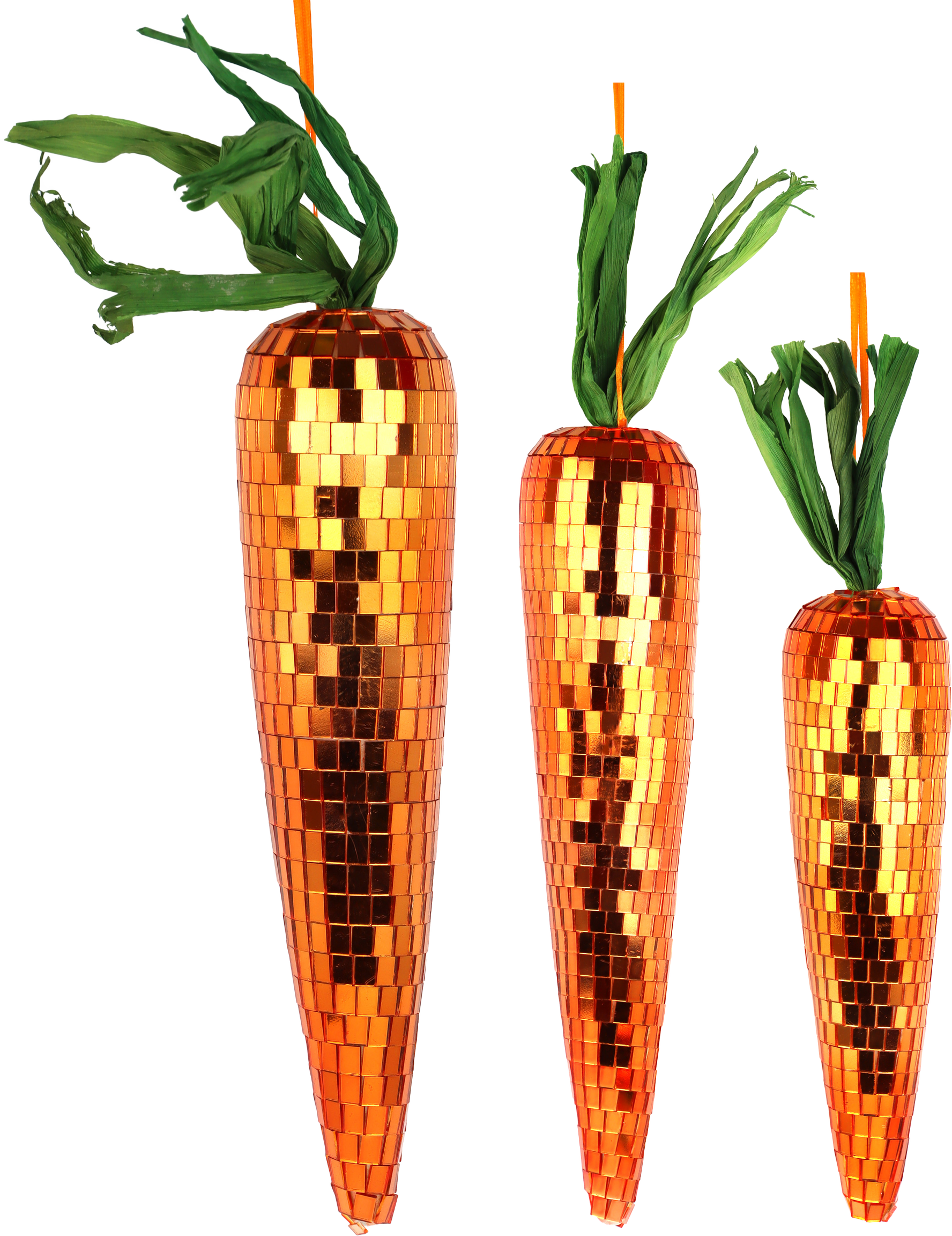 5144 ROOTS FUNKY CARROTS  S/3