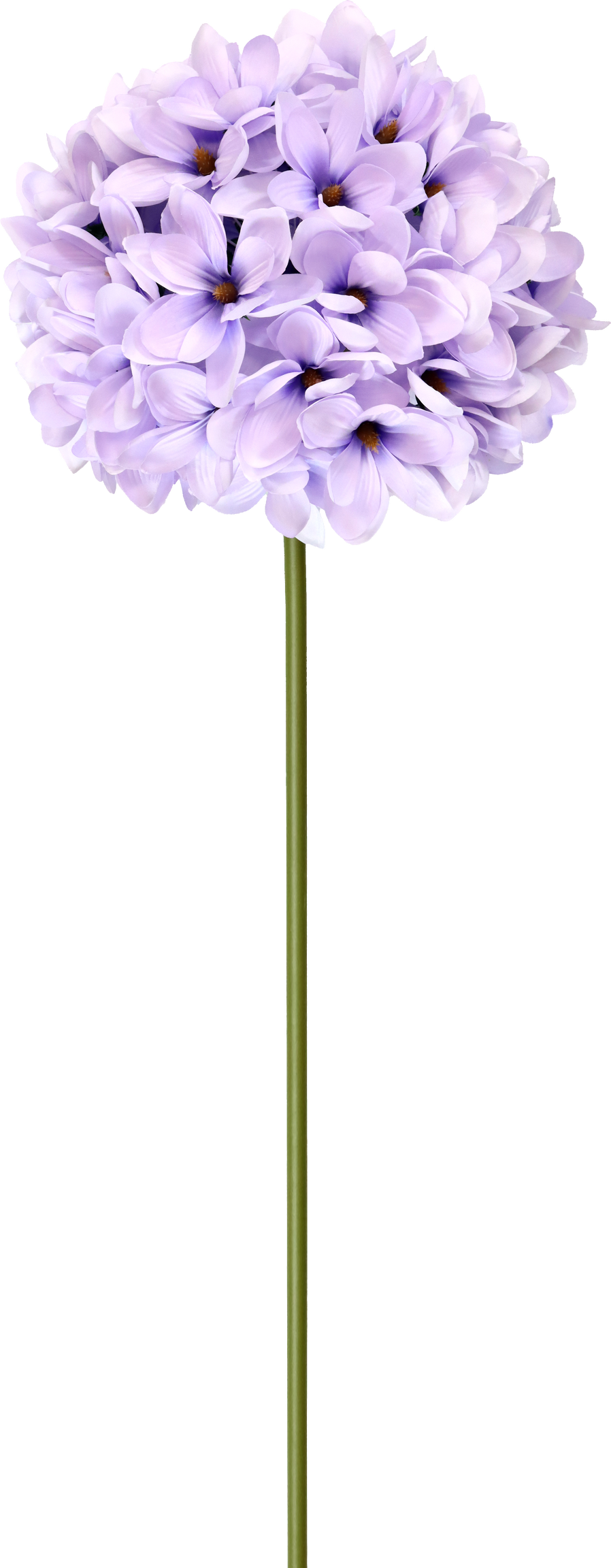 5210 XL-FLOWER MAGNOLIE