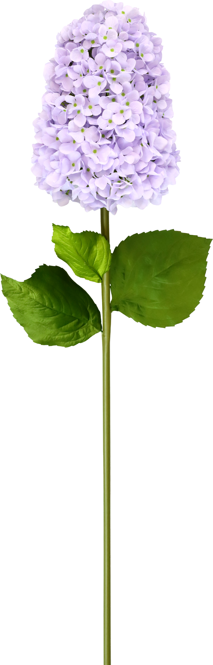 5244 XL-FLOWER HYDRANGEA