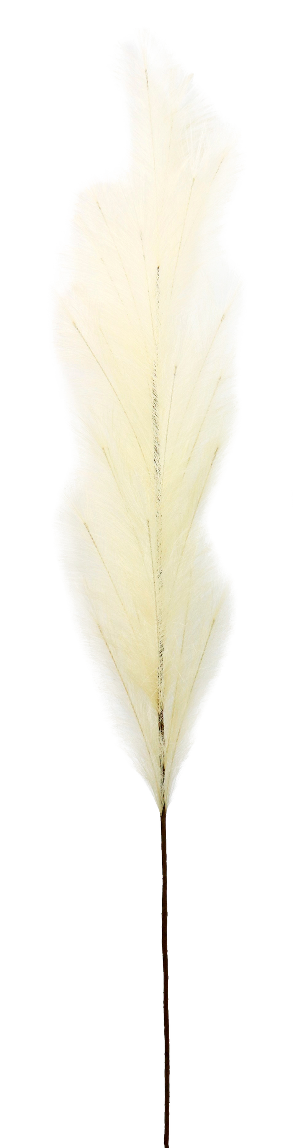 5915 ZIERFEDER ELFENBEIN 170CM