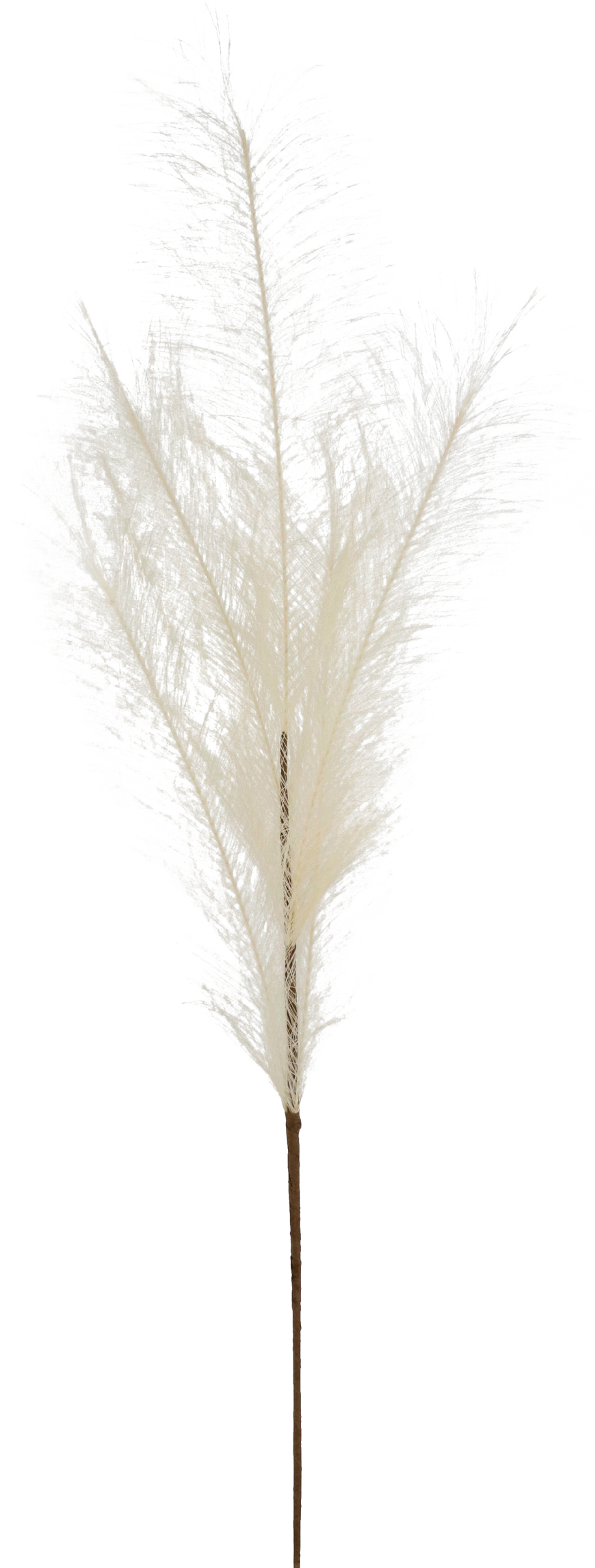 5981 ZIERFEDER ELFENBEIN 80CM