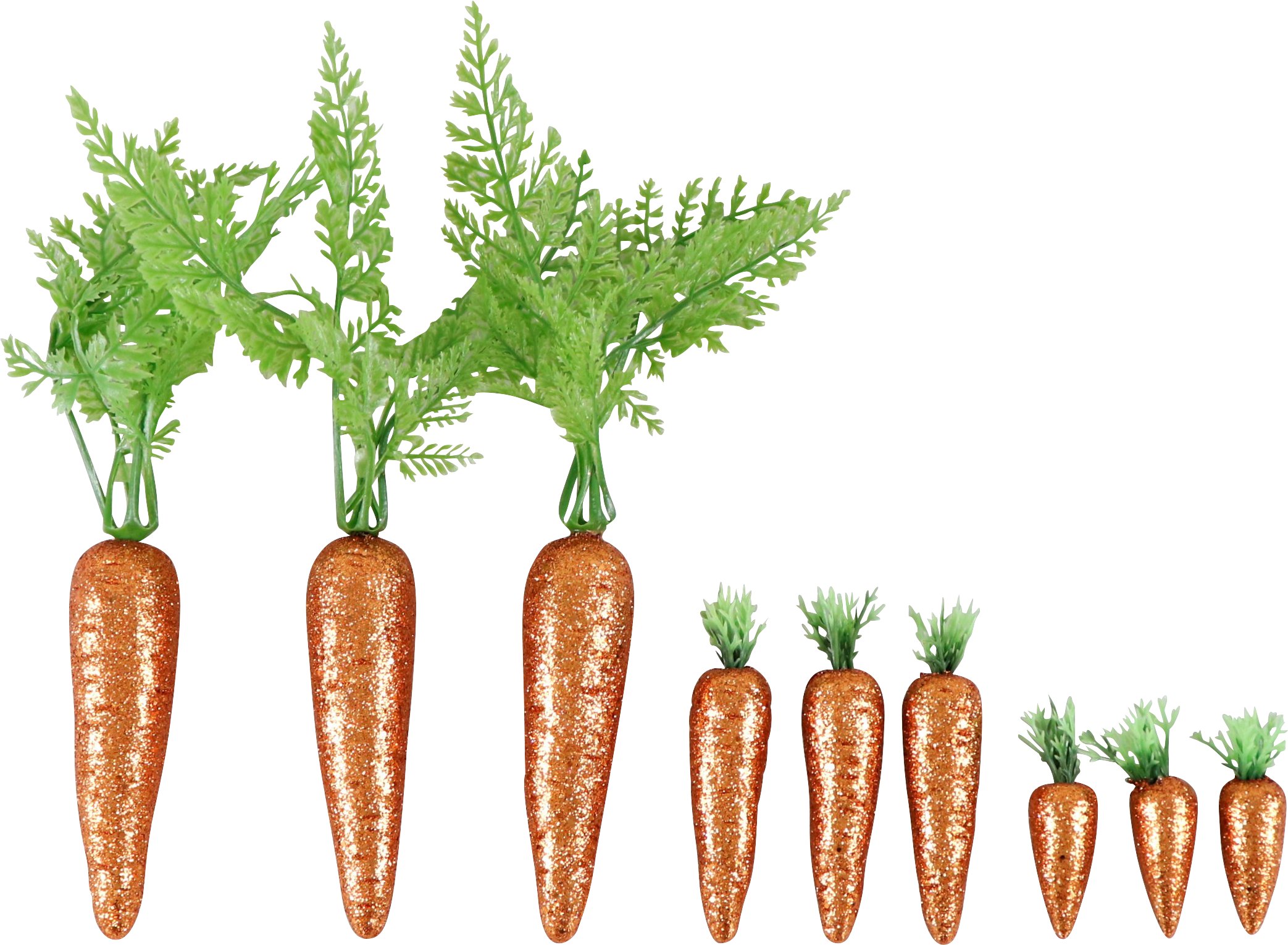 6204 CARROTS S/9