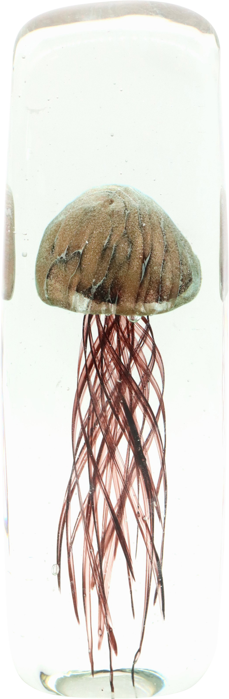 6305 PAPELERO MYSTIC MEDUSA