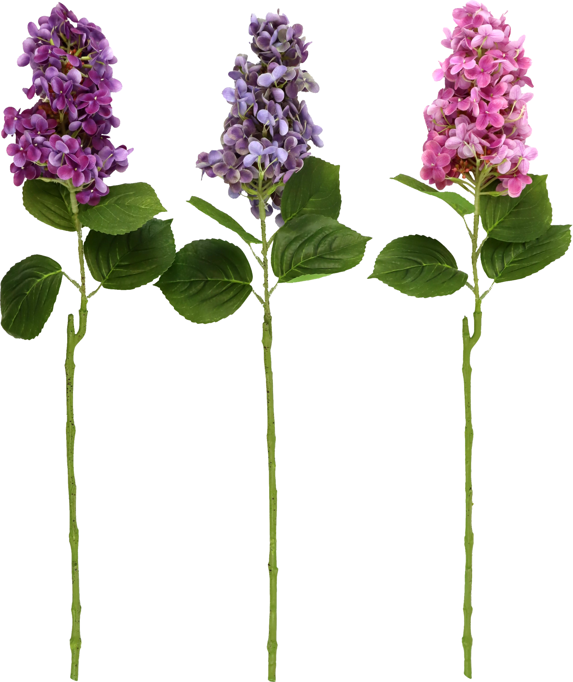 6605 FLEURS DÉCO HORTENSIE  3P