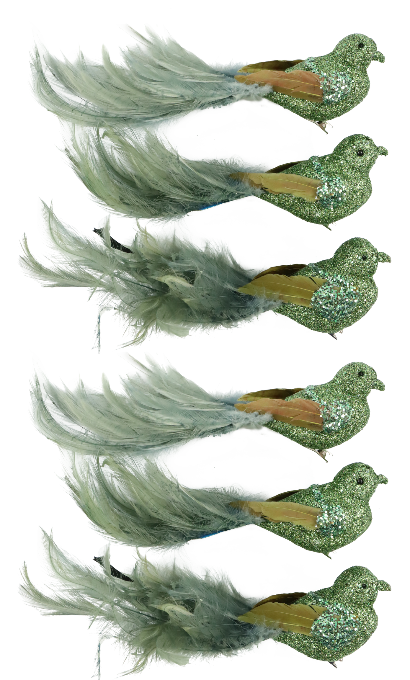 6665 PÁJAROS  FEDERSTOLZ  S/6