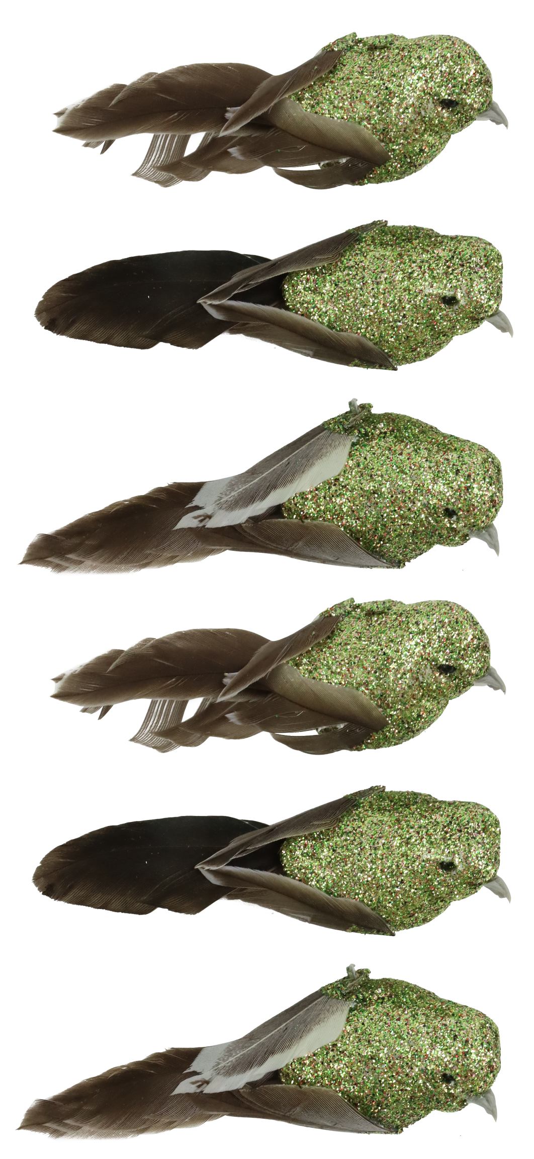 6666 PÁJAROS  FEDERSTOLZ  S/6