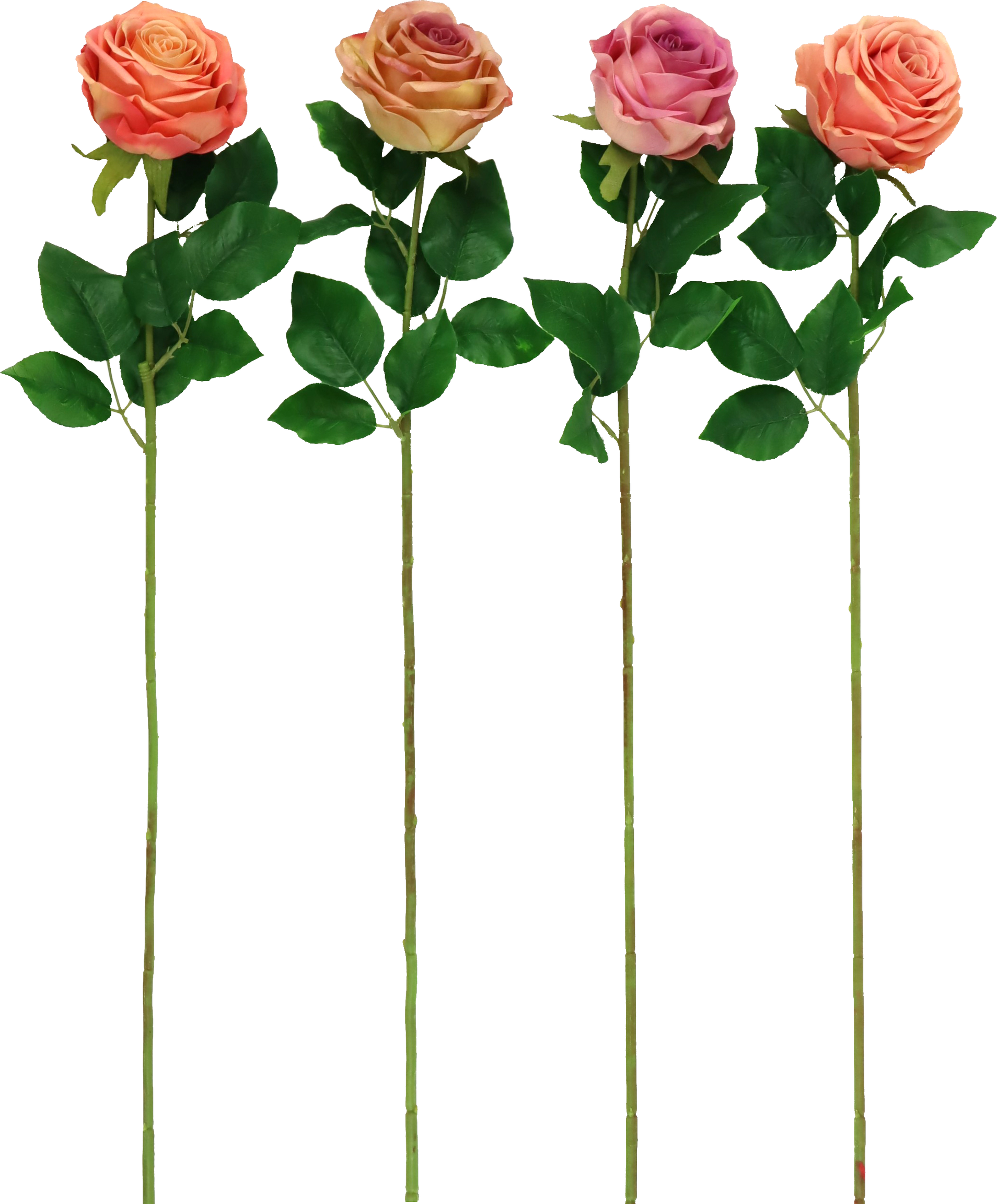 6670 FLEURS DÉCO ROSE  4P