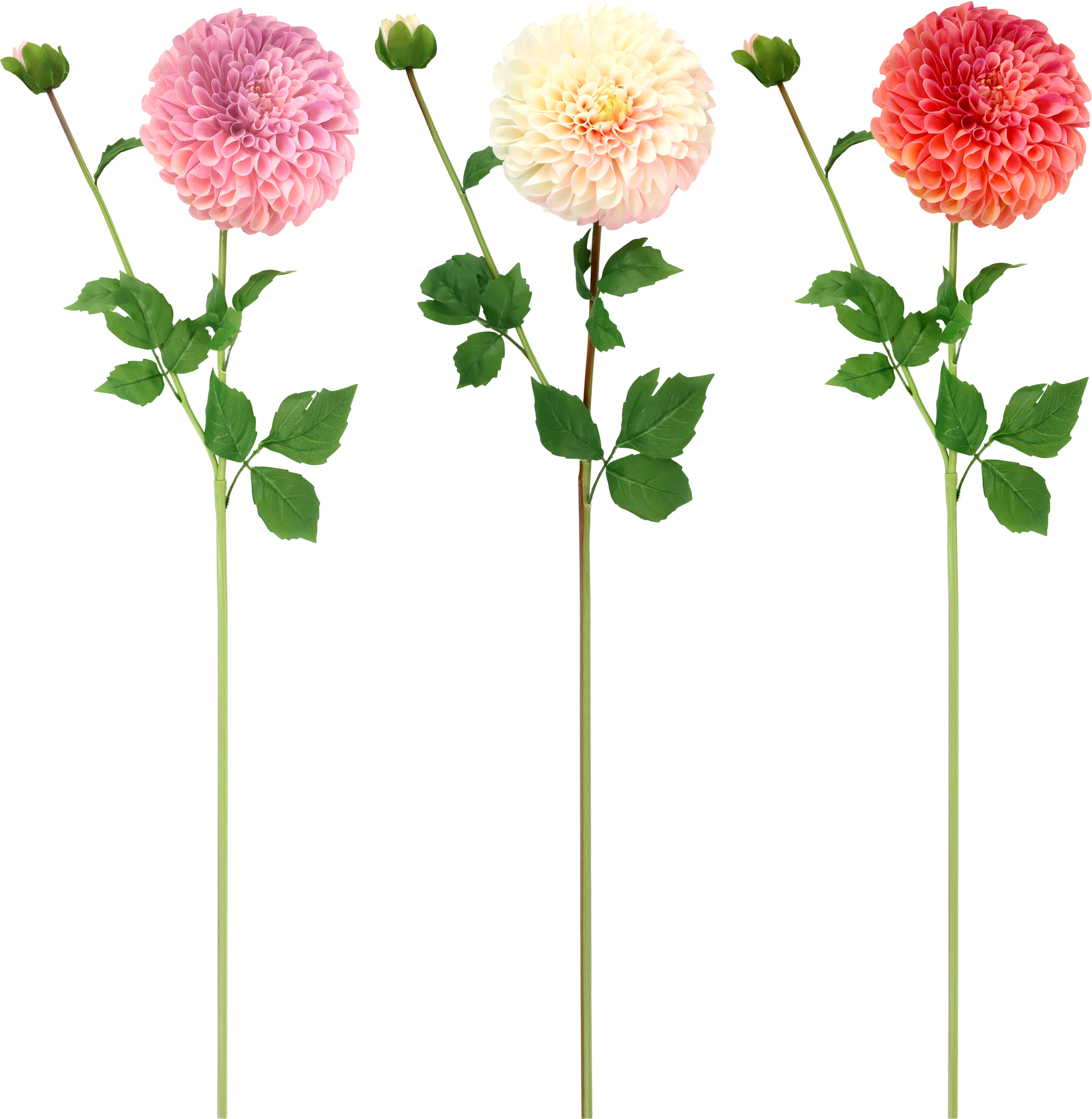 6681 FLEURS DÉCO DAHLIE  3P