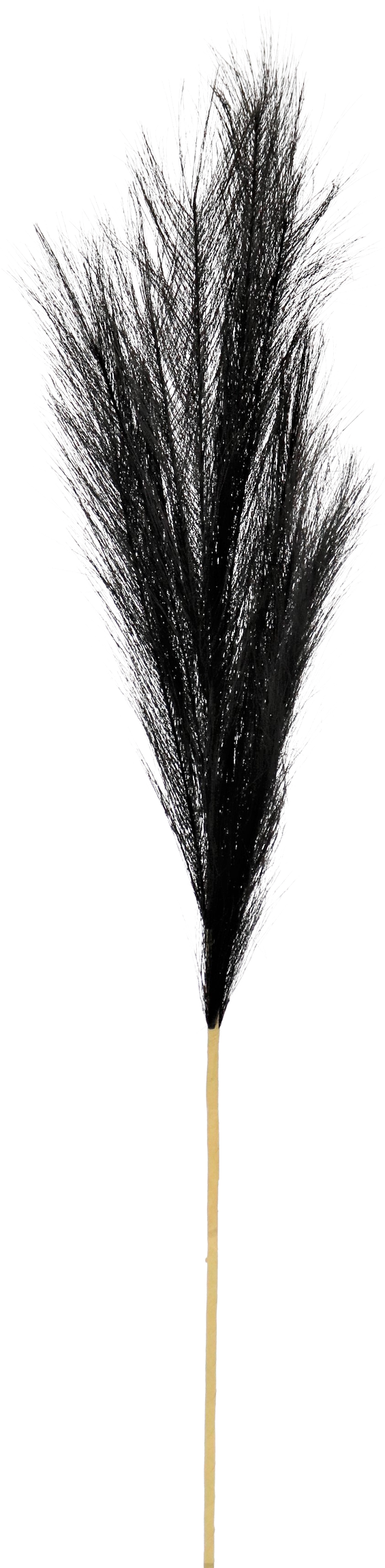 7154 ZIERFEDER SCHWARZ 80CM