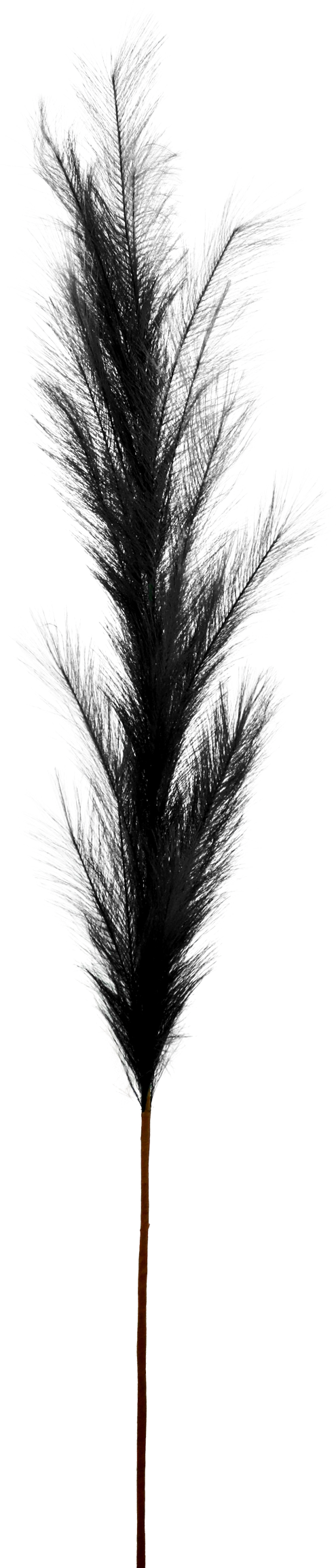 7171 ZIERFEDER SCHWARZ 170CM