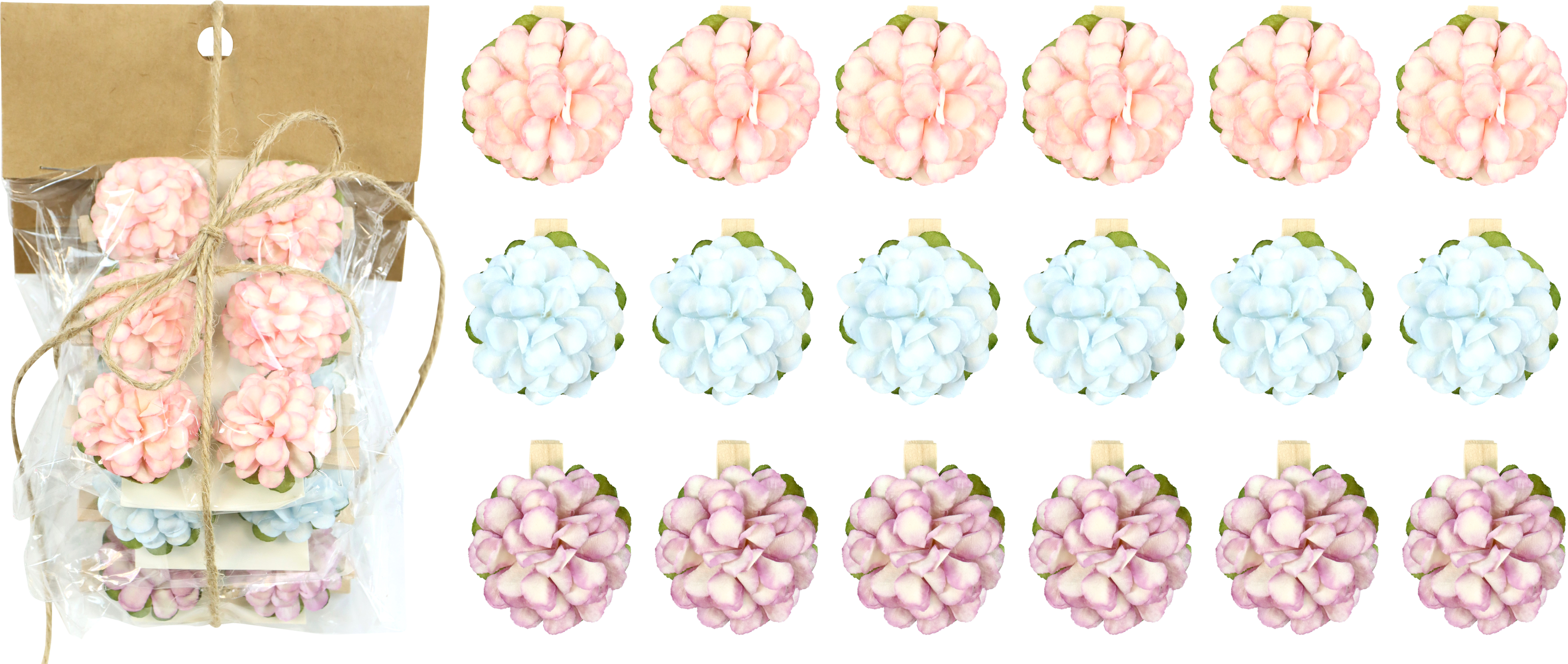 7480 PINCES HORTENSIE 3X6 18P