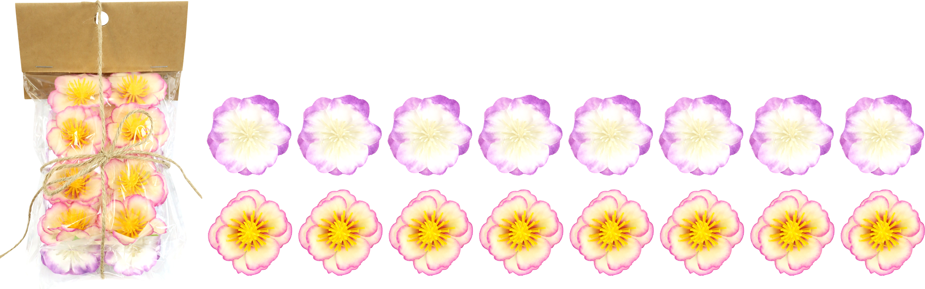 7482 PINCES ORCHIDEE 2X8 16P