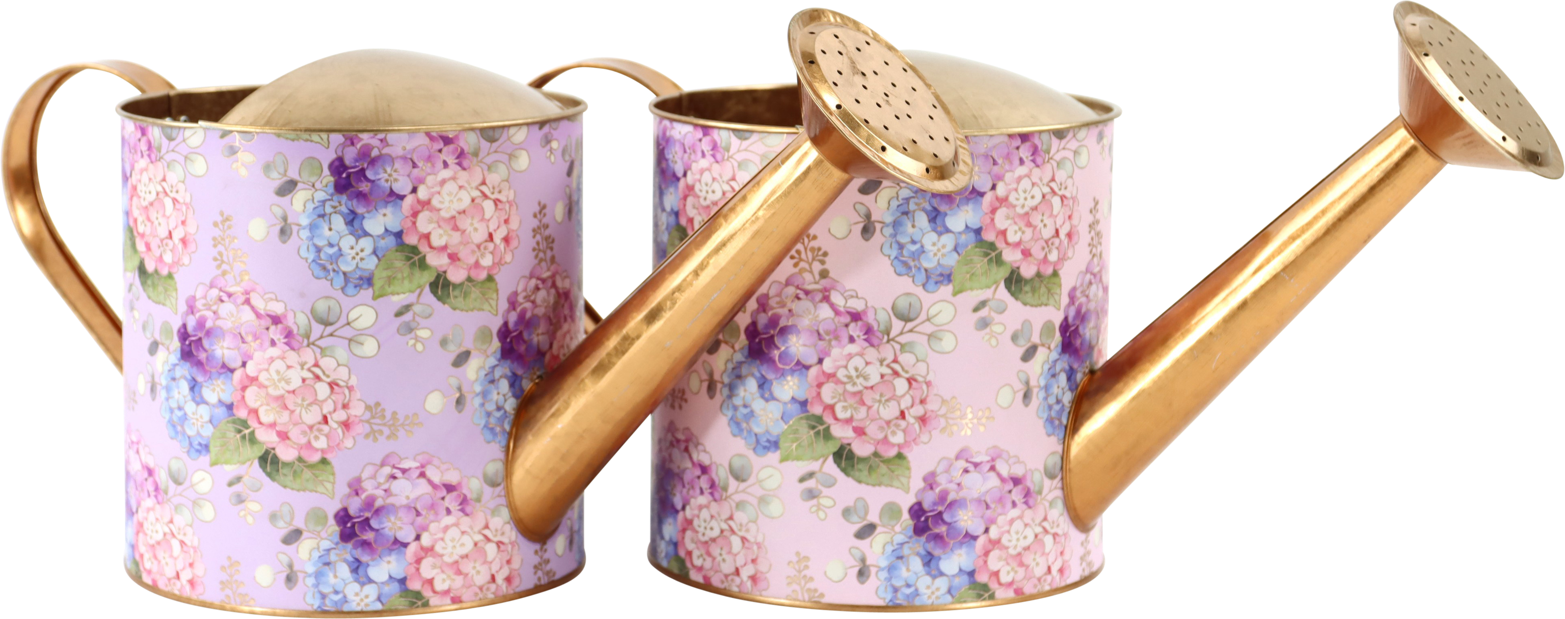 7863 ARROSOIRS BLOOMING ROMANCE  2P