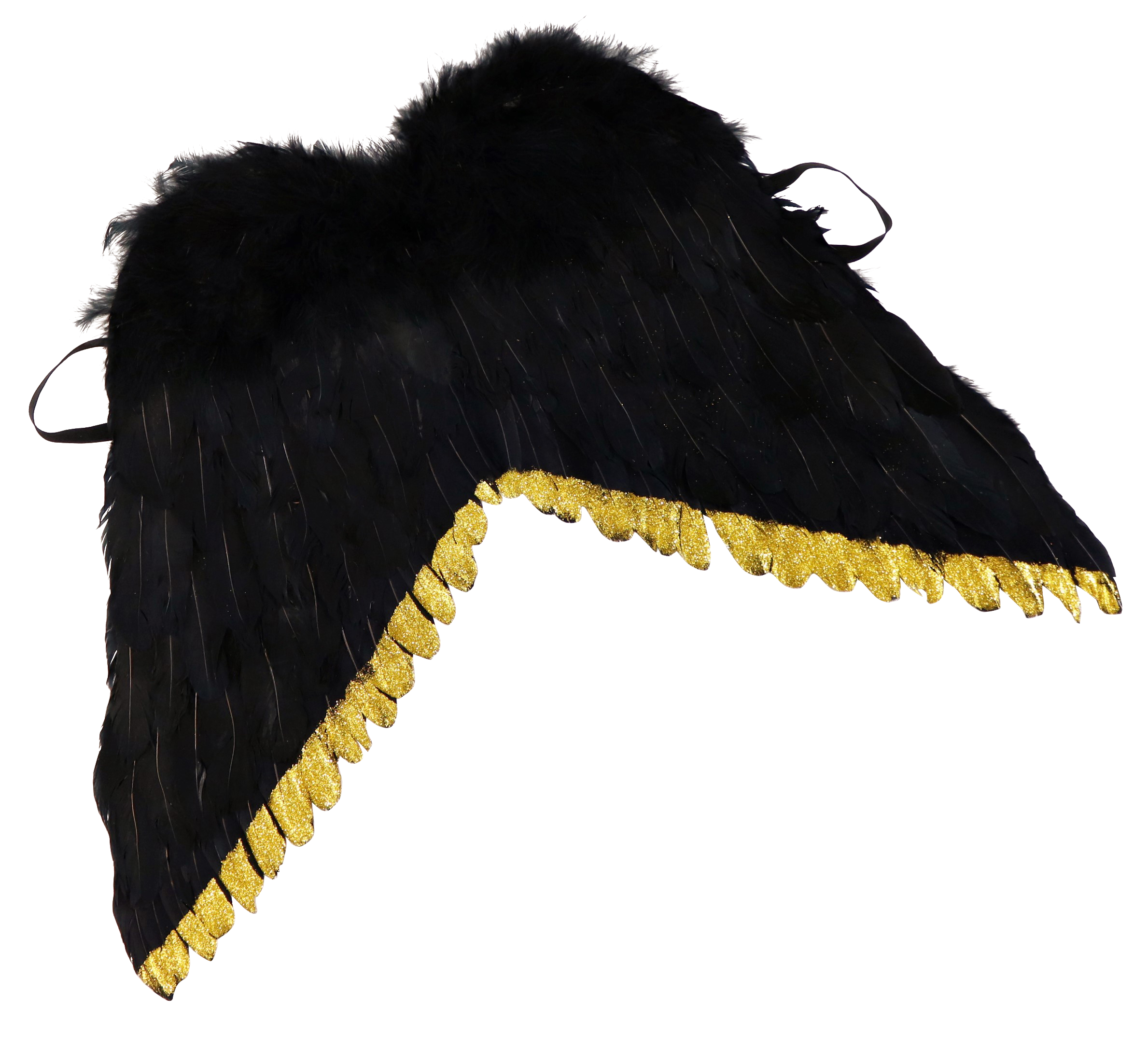 8699 ANGELWINGS BLACK BEAUTY