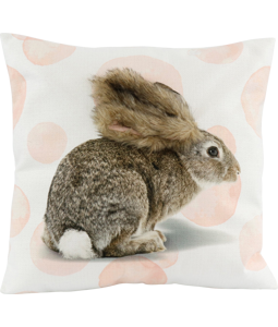 8907 HOUSSE COUSSIN  HASE 45X45