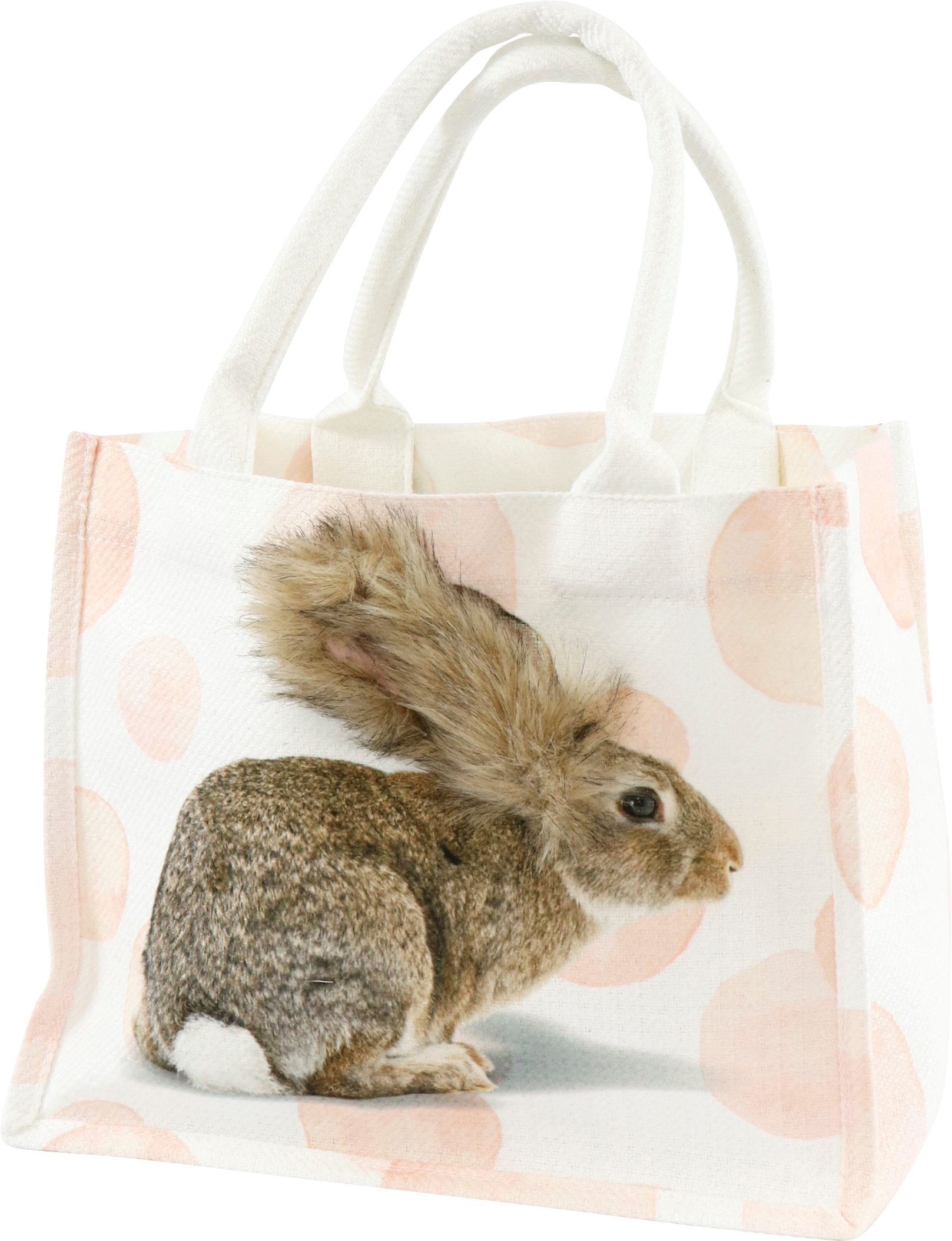 8909 BAG HASE