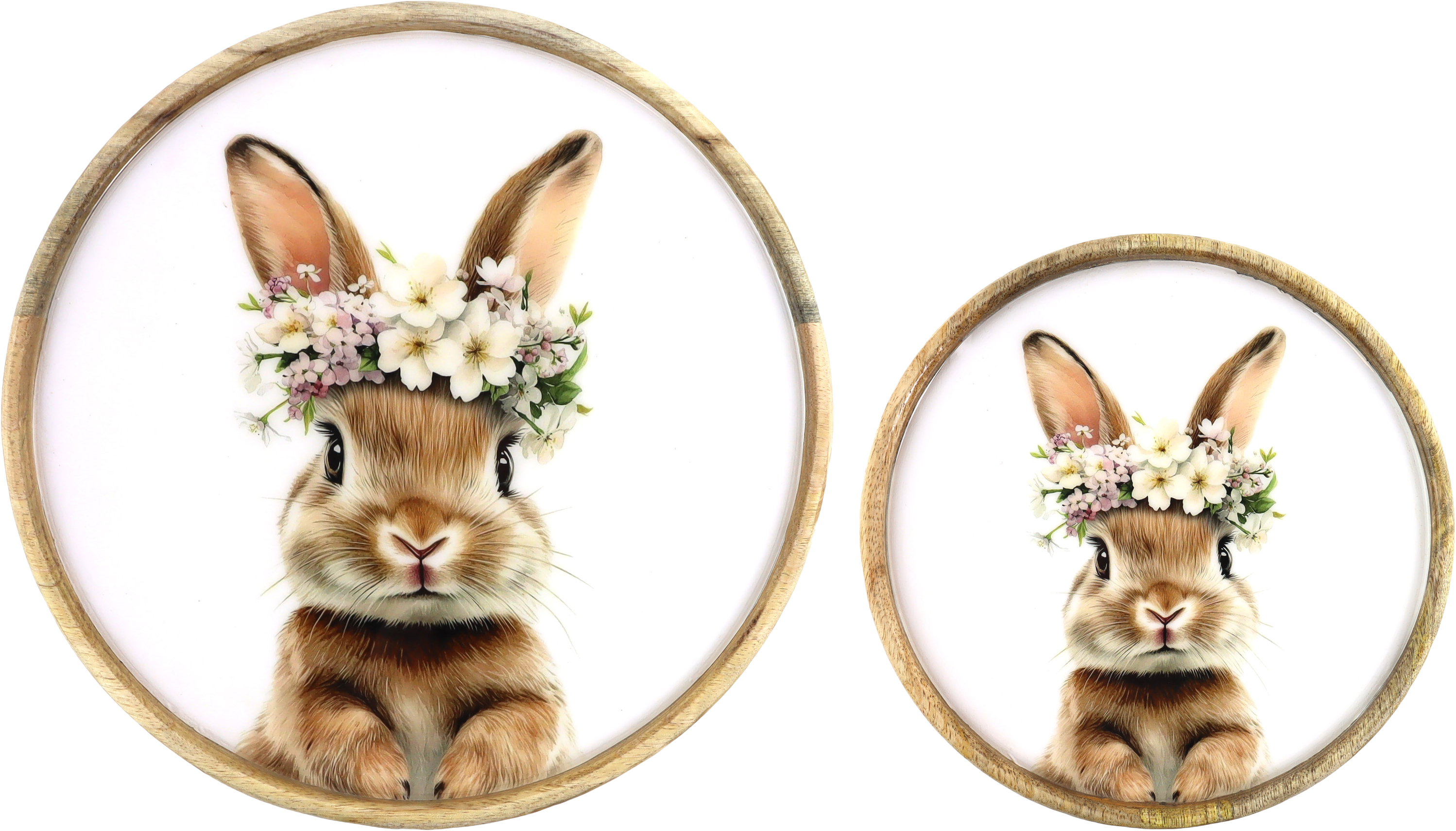 8985 PLATES BUNNY BLOOM!  S/2