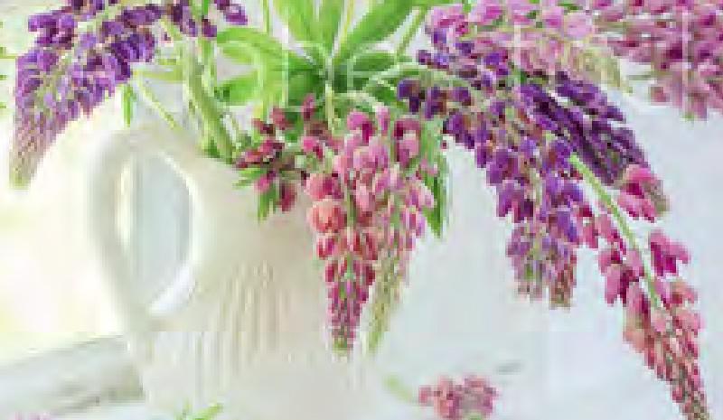 Blooming Floral Fanatsy